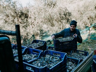 Casa per le vacanze Diano San Pietro Ambiente 30