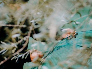 Casa per le vacanze Diano San Pietro Ambiente 25