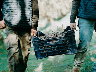 Casa per le vacanze Diano San Pietro Ambiente 29