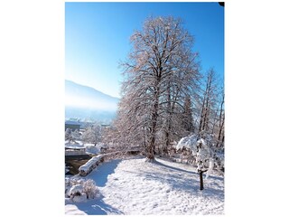 Appartamento per vacanze Bodensdorf Registrazione all'aperto 9