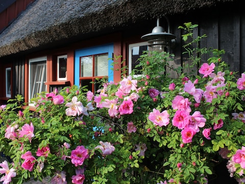 Ferienhaus Stuerbord Katen