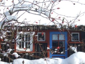 Ferienhaus Stuerbord Katen - Born - image1