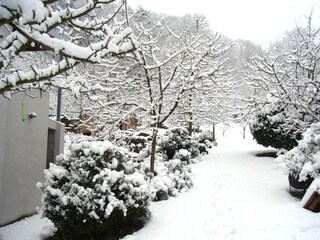 Appartamento per vacanze Oberotterbach Ambiente 19