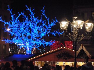 Appartamento per vacanze Oberotterbach Ambiente 15