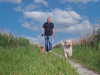 Hunde freuen sich in Friesland