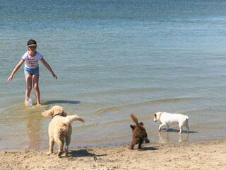 Badestelle fuer Hunde am Strand