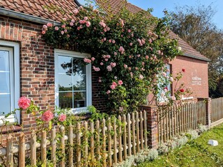 Holiday cottage Nordstrand Outdoor Recording 2