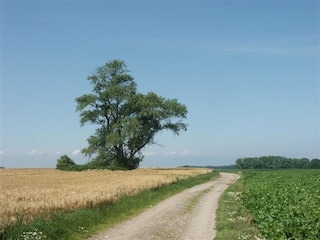 Wanderwege auf der Insel