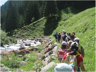 Ferienhaus Campo  27