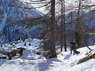 Ferienhaus Campo  32