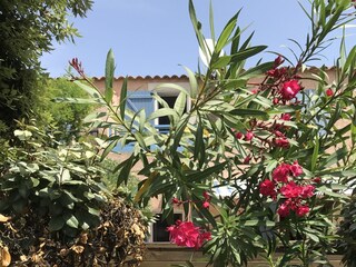 Vakantiehuis Narbonne-Plage Omgeving 3