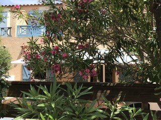 Vakantiehuis Narbonne-Plage Omgeving 4
