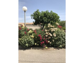 Vakantiehuis Narbonne-Plage  27