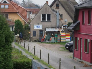 Frischer Fisch aus Zingst vom Fischer
