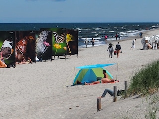 Strandnah - Ferienhaus Ostseetraum