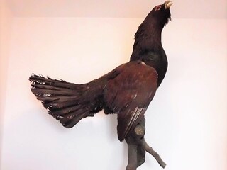 Appartamento per vacanze Hahnenklee Registrazione all'aperto 5