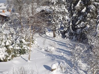 Vakantieappartement Hahnenklee Buitenaudio-opname 4