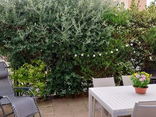 Holiday house Gruissan Outdoor Recording 6