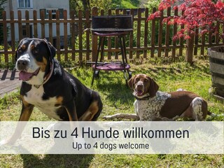 Maison de vacances Enzklösterle Équipement 4