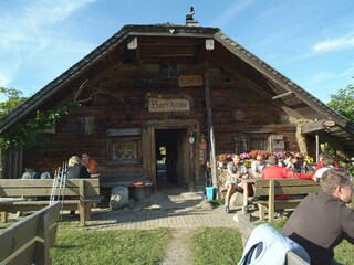 Appartamento per vacanze Faistenau Registrazione all'aperto 5