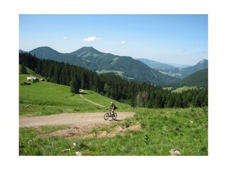 Appartamento per vacanze Faistenau Registrazione all'aperto 6