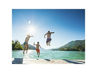 Appartamento per vacanze Faistenau Registrazione all'aperto 9