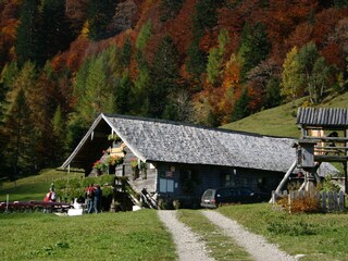 Appartamento per vacanze Faistenau  11