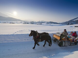 Appartamento per vacanze Faistenau Registrazione all'aperto 13