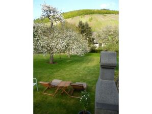 Holiday apartment Weingut Moselperle 1