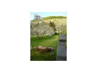 Vakantieappartement Lieser Omgeving 3