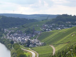 Vakantieappartement Lieser  13