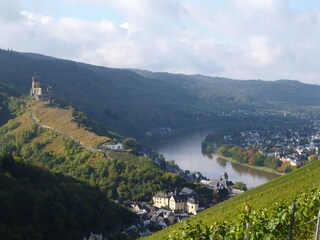 Vakantieappartement Lieser  24
