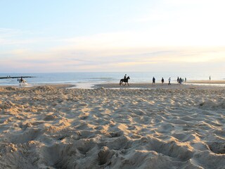 Bungalow Julianadorp Environment 24