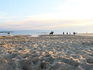 Bungalow Julianadorp Omgeving 24