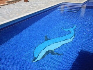 Your pool with children's pool