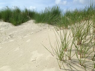 Appartamento per vacanze Borkum Ambiente 15