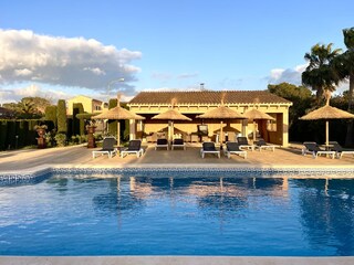 Schwimmen Sie ausgiebig im 14 x 8 m großen Pool