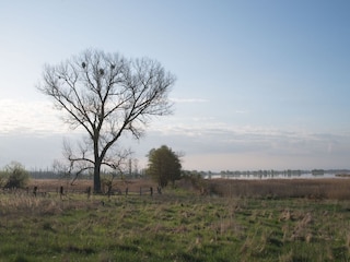 Naturpark Peenetal