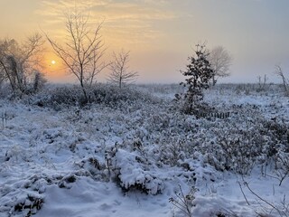 Winterlicht