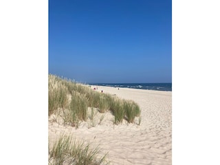 Strand Trassenheide Usedom