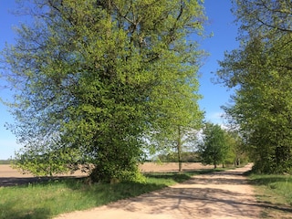 Sandweg