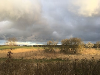 Seewetter