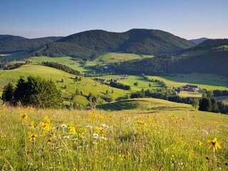 Bernau im Sommer