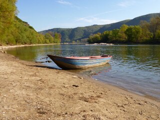 Blick über den Rhein
