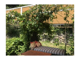 Casa per le vacanze Vasia Registrazione all'aperto 8