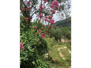 Casa per le vacanze Vasia Registrazione all'aperto 6