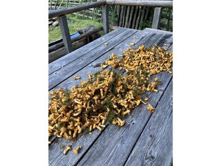 Casa de vacaciones Gnesau Entorno 39