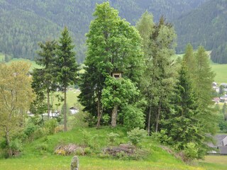 Vakantiehuis Gnesau Buitenaudio-opname 15