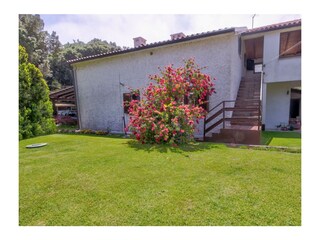 Vakantiehuis Pula Kenmerken 17