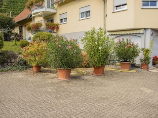 Holiday apartment Lautenbach Environment 16